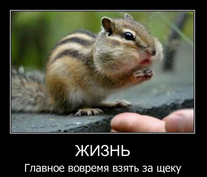Жизнь