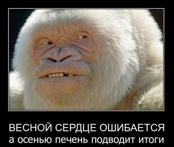 Весной сердце ошибается