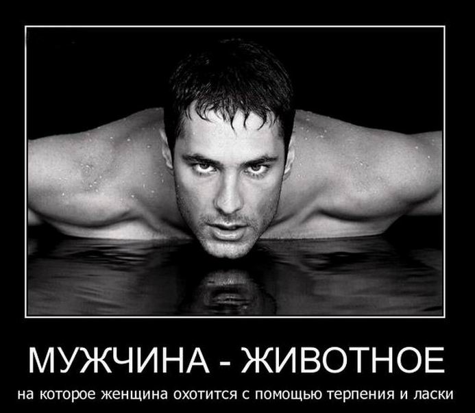 Мужчина – животное