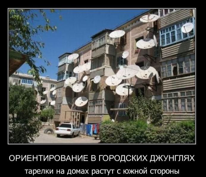 Ориентирование в городских джунглях