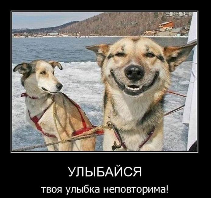 Улыбайся. Твоя улыбка неповторима!