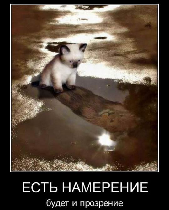 Есть намерение, будет и прозрение