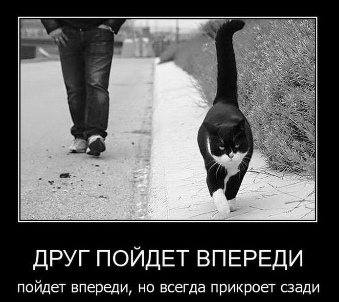 Друг пойдет впереди