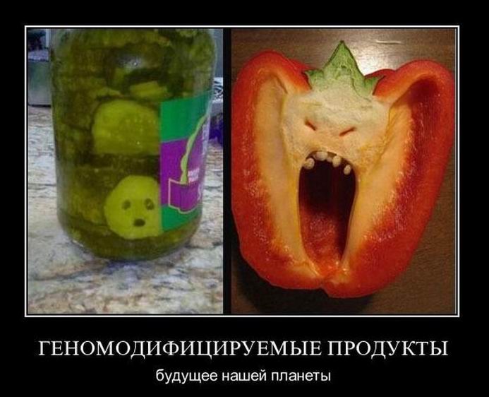Генномодифицируемые продукты