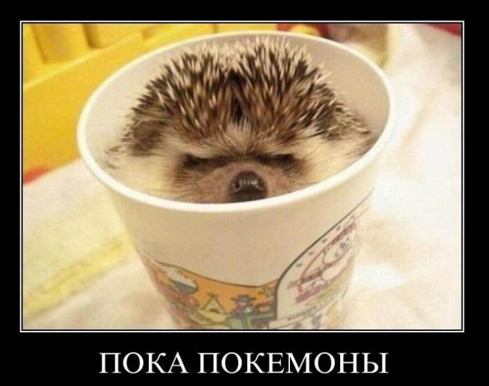 Пока покемоны