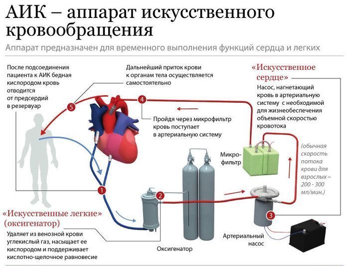 Полезные инфографики (23 картинки) Полезные инфографики (23 картинки)