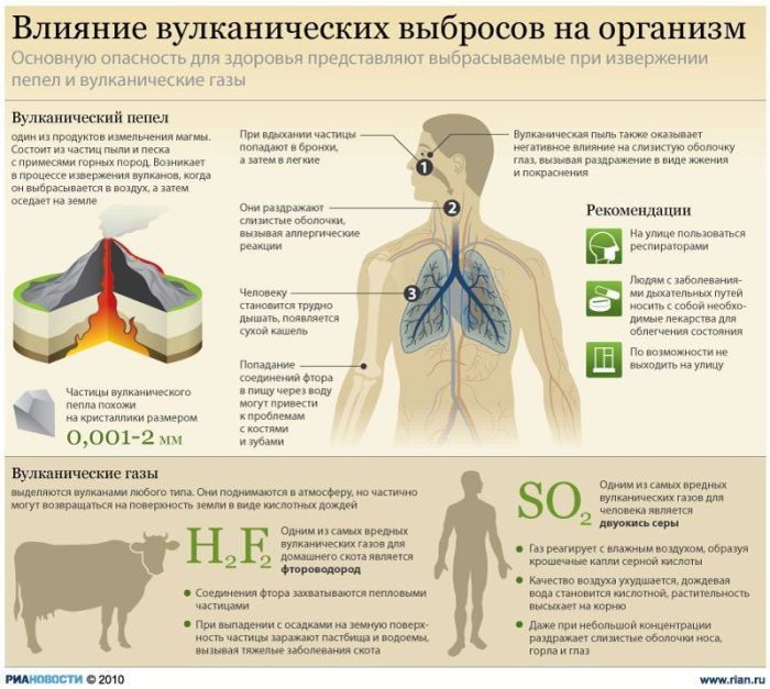 Полезные инфографики (23 картинки) Полезные инфографики (23 картинки)