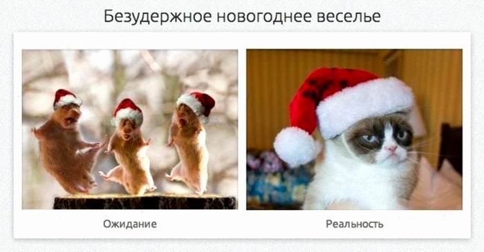 Безудержное новогоднее веселье
