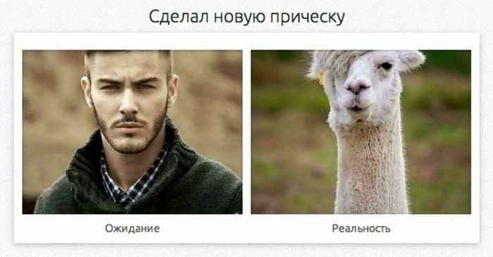 Сделал новую прическу