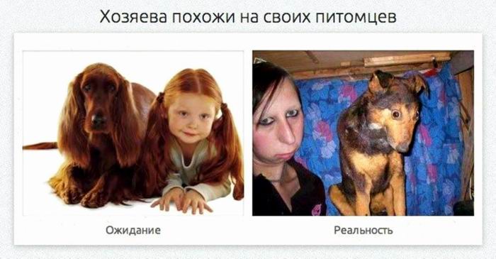 Хозяева похожи на своих питомцев