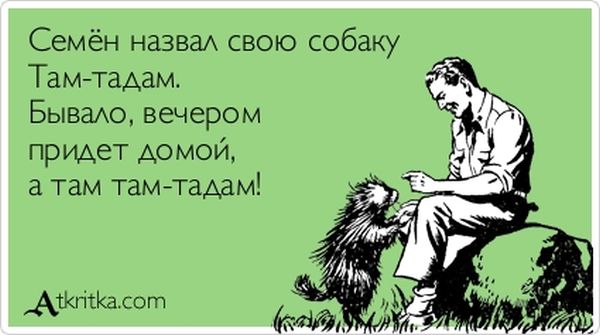 Семён назвал свою собаку Там-тадам