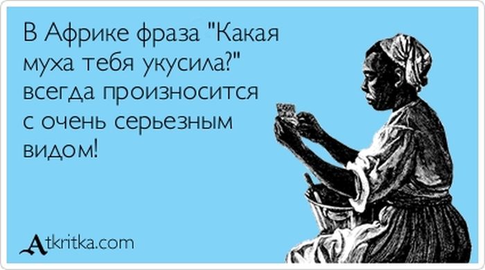 Какая муха тебя укусила?