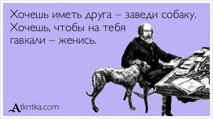 Хочешь иметь друга