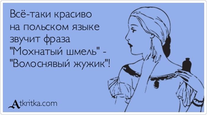 Фраза «Мохнатый шмель» на польском