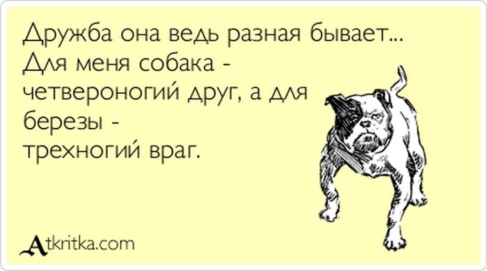Дружба разная бывает