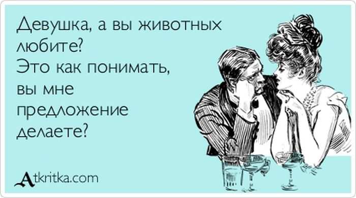 Вы животных любите?