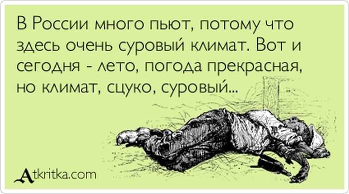 В России много пьют