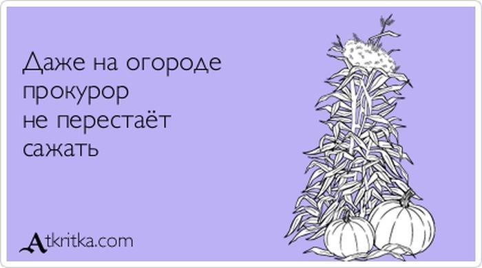 Прокурор