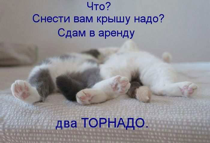 Арендная плата за квартиру