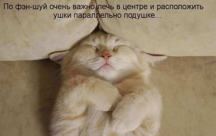 Возвращаясь домой ночью после пьянки