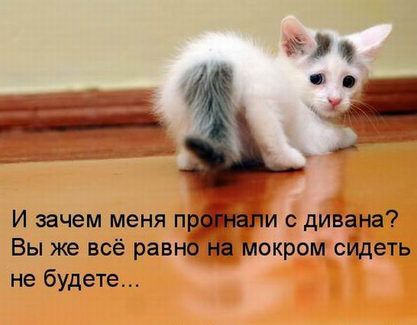  :  -  ,  ! ( 5, 50 )