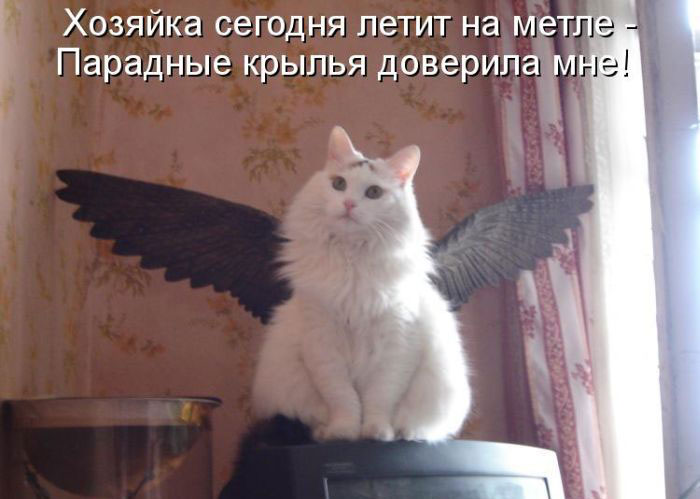 Анекдоты про крылья