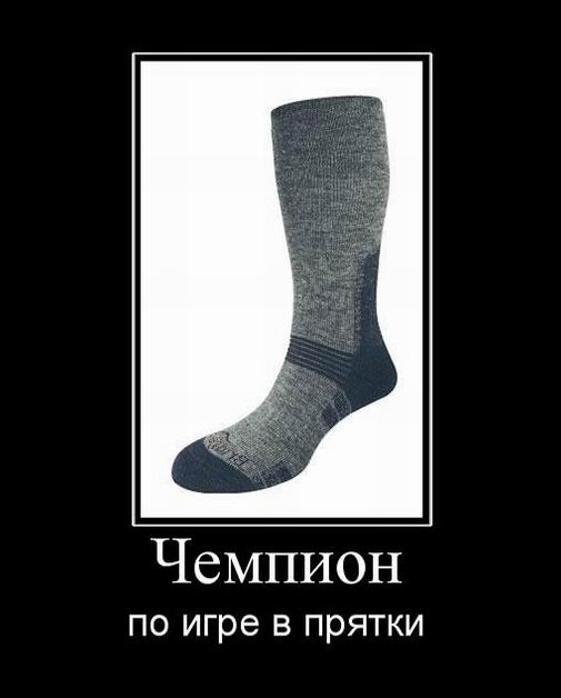 Чемпион по игре в прятки