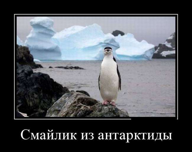 Смайлик из Антарктиды