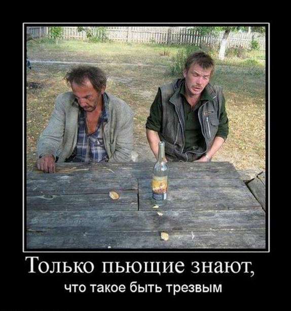 Только пьющие знают, что такое быть трезвым