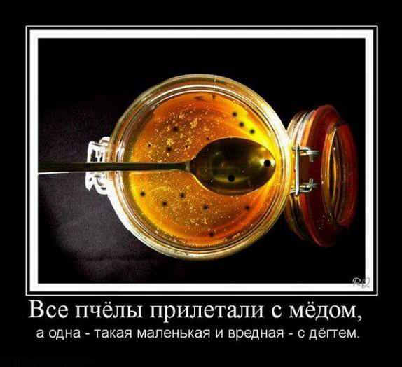 Все пчёлы прилетали с мёдом