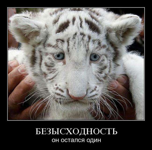 Безысходность. Он остался один