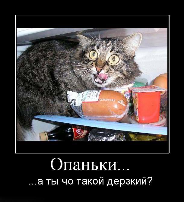 Опаньки... ...а ты чо такой дерзкий?