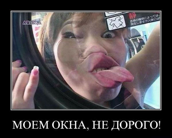 Моем окна, не дорого!