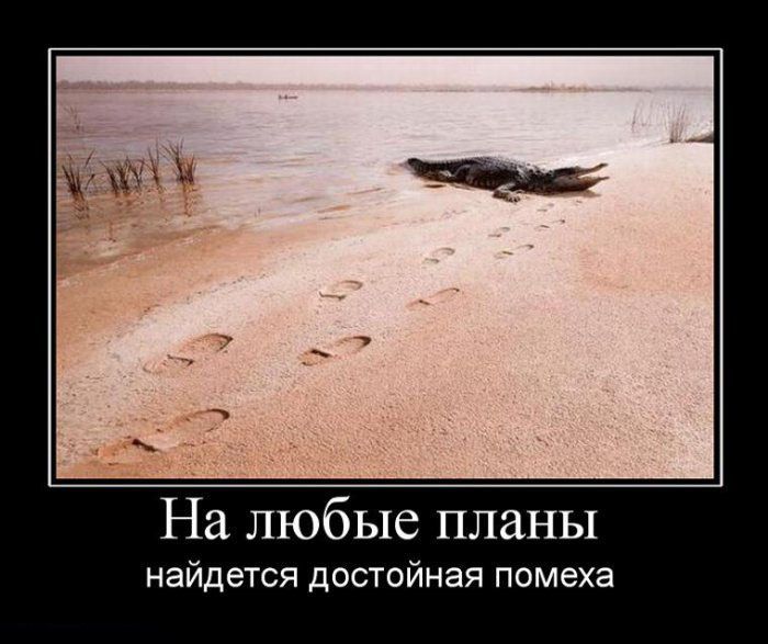 На любые планы найдется достойная помеха