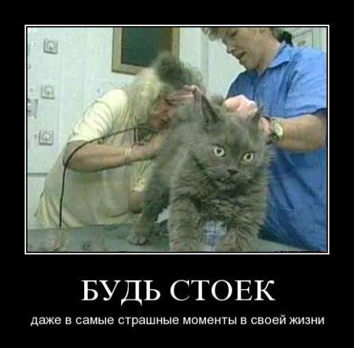 Будь стоек