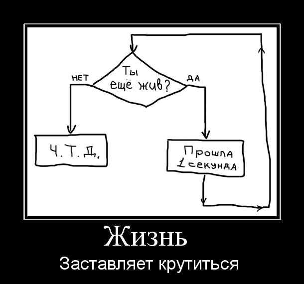 Жизнь заставляет крутиться