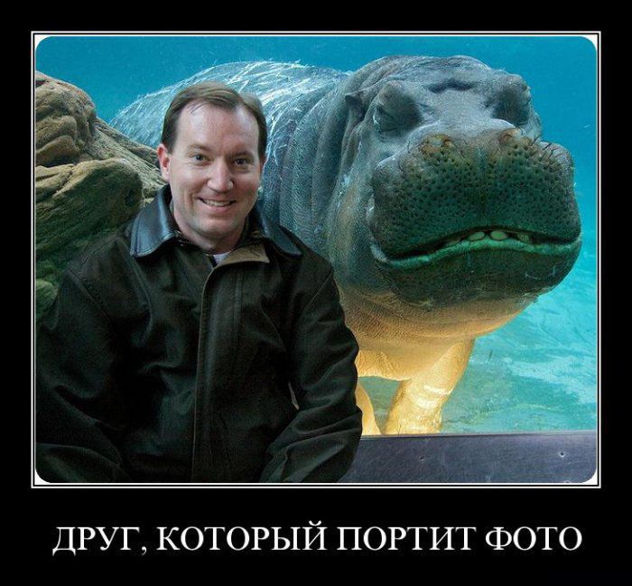 Друг, который портит фото