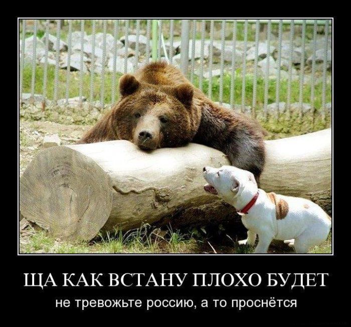Ща как встану плохо будет