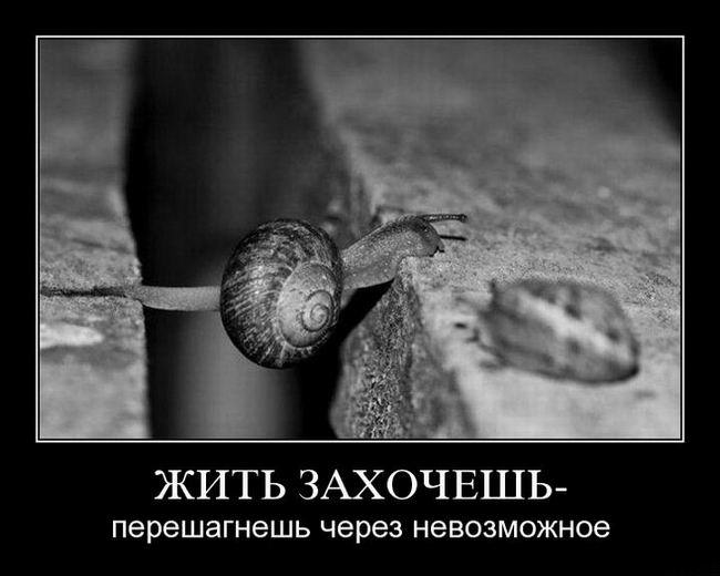 Жить захочешь, перешагнешь через невозможное