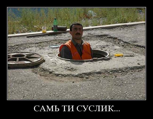 Сам ты суслик