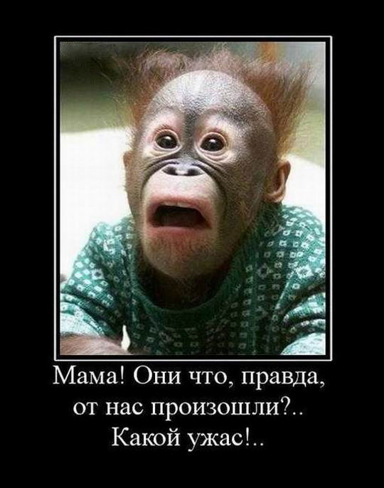 Они от нас произошли?
