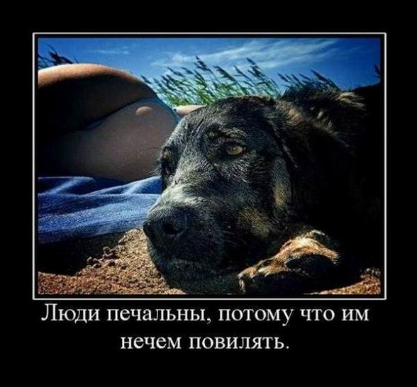Люди печальны