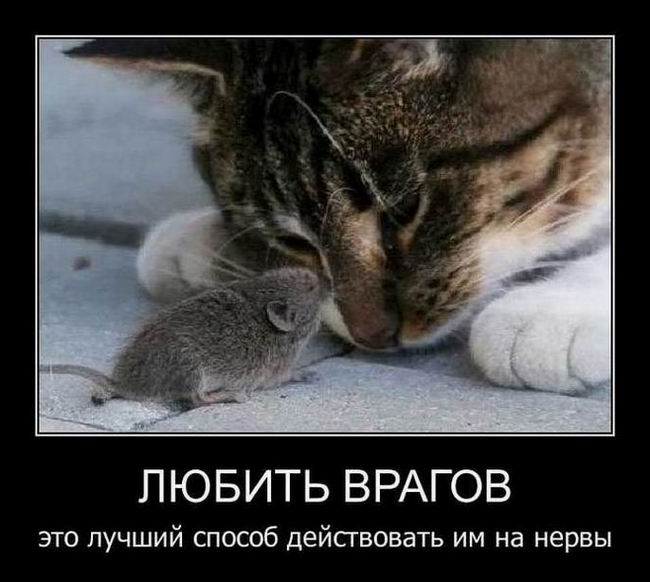 Любить врагов