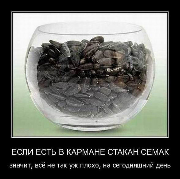 Если есть в кармане стакан семечек