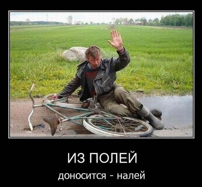 Из полей доносится — налей