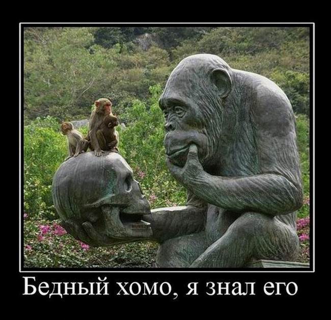 Бедный хомо, я знал его