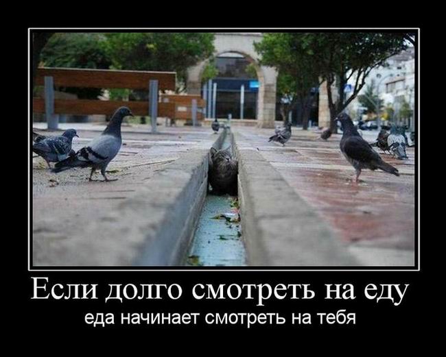 Если долго смотреть на еду