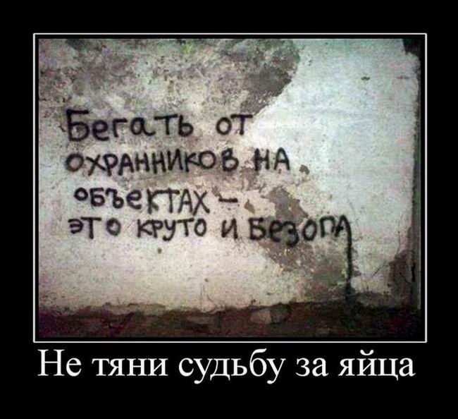 Не тяни судьбу за яйца