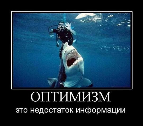 Оптимизм — это недостаток информации