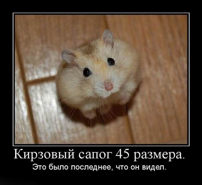 Кирзовый сапог 45 размера. Это было последнее, что он видел